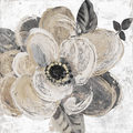 Image Not Available